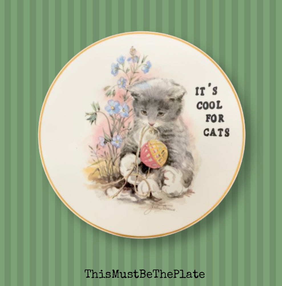 Cool for cats by Squeeze