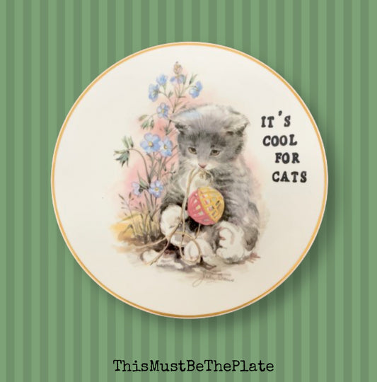 Cool for cats by Squeeze