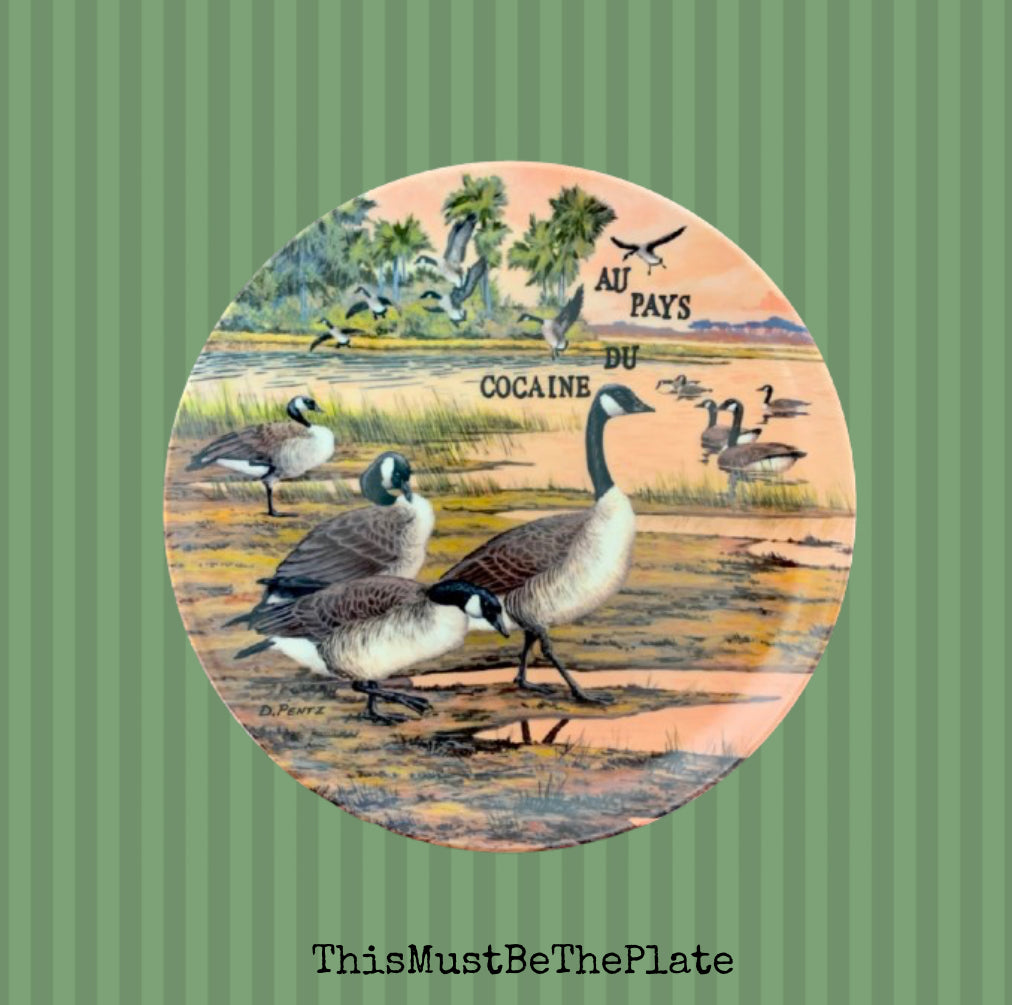 Au pays du cocaine by Geese