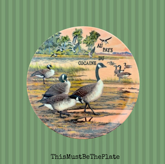 Au pays du cocaine by Geese