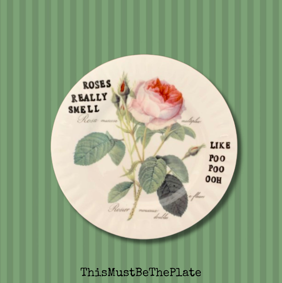 Roses by OutKast